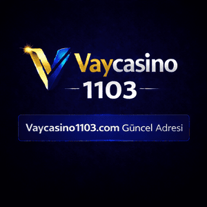 vaycasino1103